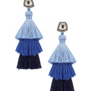 Shaded Blue Tasseled Earrings